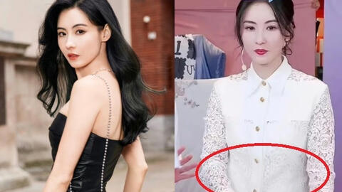 Trương Bá Chi đang mang thai con thứ 4, chi tiền khủng mua tinh trùng từ nhân vật có gen ưu việt?