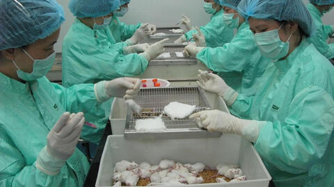 Vaccine Covid-19 ở Việt Nam dự kiến hoàn thành vào cuối năm 2021