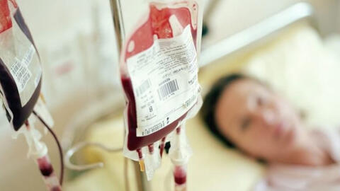 Khoảng 14 triệu người Việt Nam có gen bệnh Thalassemia phải truyền máu cả đời