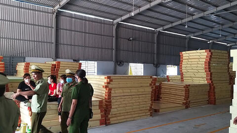Phát hiện lượng lớn nệm Thắng Lợi giả