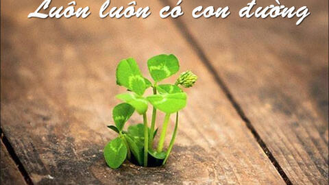 Tử vi hàng ngày 12/1/2020 của 12 con giáp: Thân tránh rủi ro tài chính, Dậu tự tin và chính trực