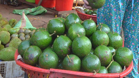Giá bơ booth và chanh dây "lao dốc"