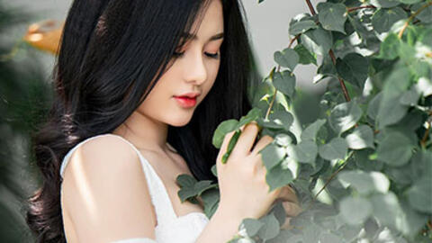 Tử vi hôm nay 27/10/2019 về tài chính của 12 cung hoàng đạo: Bạch Dương có cơ hội, Kim Ngưu tránh đầu tư