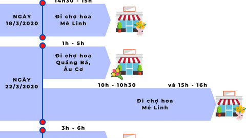 Lịch sử di chuyển của bệnh nhân 243, ca 'siêu lây nhiễm' COVID-19