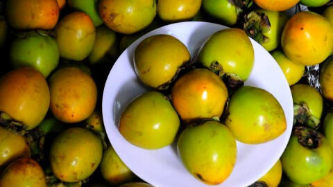 Mổ dạ dày sau khi ăn quả hồng ngâm