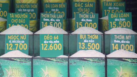 Xuất khẩu gạo ổn định, gạo lẻ giảm nhẹ tại các chợ