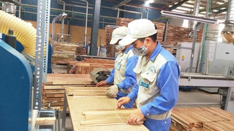 Doanh nghiệp gỗ Việt bắt đầu chịu áp lực từ xung đột Nga - Ukraine