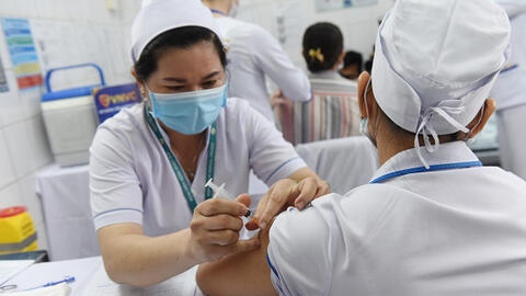 Chuyên gia nói gì việc uống nước ép lá tía tô trước khi tiêm vắc xin Covid-19?