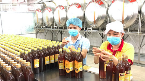 Mỹ giảm 7 lần mức thuế chống bán phá giá với mật ong Việt Nam