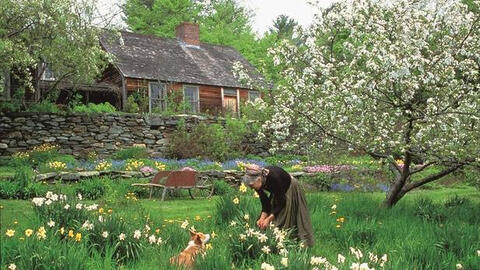Ngôi nhà trong rừng đẹp như chốn thần tiên của nữ họa sĩ người Mỹ Tasha Tudor