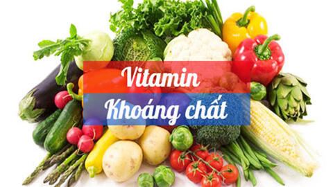 Vitamin có vai trò như thế nào đối với sức khỏe?