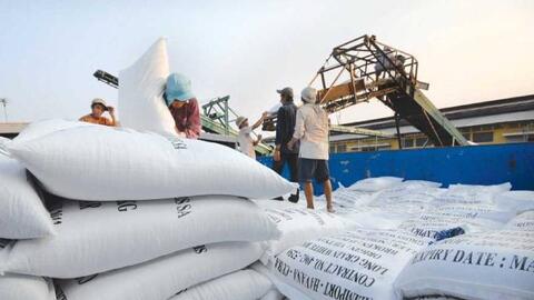 Ngành nông nghiệp ứng phó với dịch COVID-19 như thế nào?