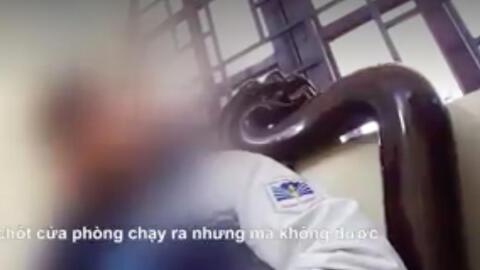Thông tin về đối tượng bỏ tiền mua trinh tiết các nữ sinh tại Ba Vì