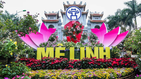 50.000 bông hoa hồng tạo nên lễ hội hoa đặc sắc ở Hà Nội