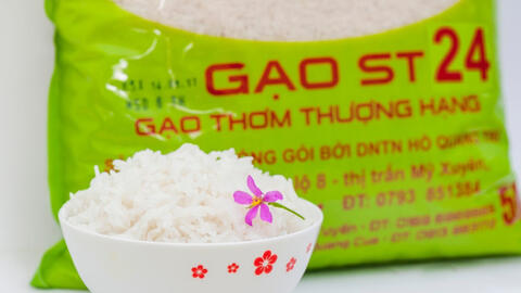 Gạo thơm ST24 và ST25 lọt vào top 4 gạo ngon nhất thế giới 2022