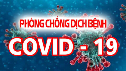 Hội Nữ trí thức Việt Nam tích cực tham gia phòng chống covid-19