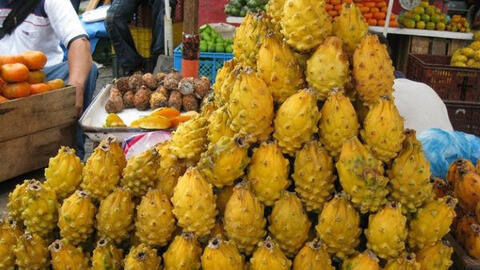 Thanh long vỏ vàng có gai giá 400.000 đồng/kg người tiêu dùng săn mua