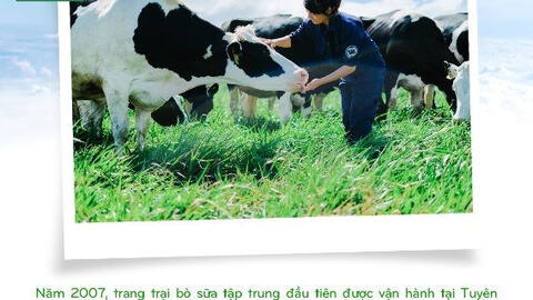 15 năm xây dựng hệ thống Trang trại Bò sữa Vinamilk