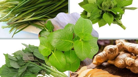 9 bài thuốc từ thiên nhiên có tác dụng tiêu đàm hiệu quả