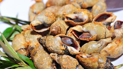 Món ngon mỗi ngày: Cách làm món ốc cà na rang muối ớt thơm ngon