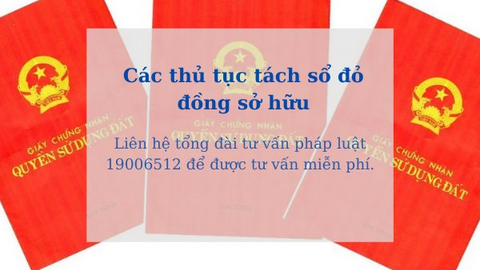 Sang tên sổ đỏ đất đồng sở hữu cần lưu ý gì?