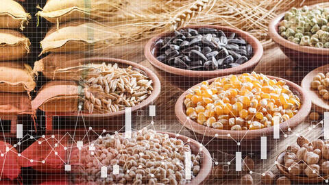 Trung Quốc tích trữ hơn một nửa ngũ cốc của thế giới, đẩy giá toàn cầu lên