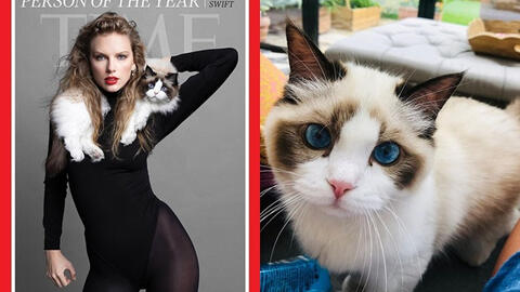Mèo cưng mắt xanh "quý hơn vàng" của Taylor Swift mới xuất hiện sang trọng trên bìa tạp chí cùng chủ nhân, có giá trị ước tính 2.400 tỷ VNĐ