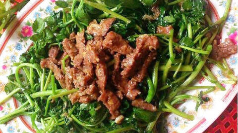 Tổng hợp 32 các món rau xào thịt bò đơn giản – nhanh gọn