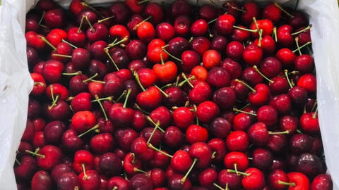 Giá cherry tăng gần 1 triệu đồng/kg nhưng vẫn hút giới nhà giàu Việt.