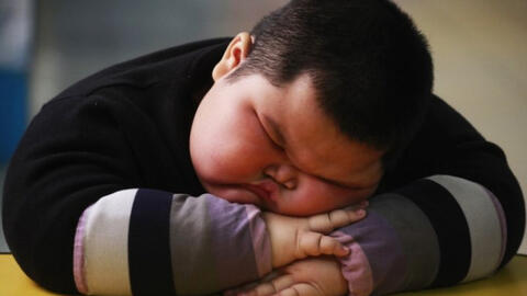 Các nhà khoa học chứng minh trẻ béo phì có IQ thấp