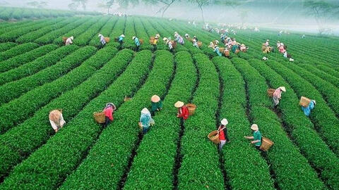 Lâm Đồng dừng giãn cách xã hội, Hà Nội, Long An cùng nhiều tỉnh thành thực hiện  Chỉ thị 15