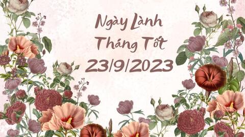 Xem ngày lành tháng tốt 23/9/2023: Chỉ nên nghỉ ngơi, các dự định hãy đợi ngày thuận lợi hơn