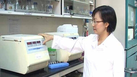 PGS.TS Nghiêm Thị Hà Liên – người phụ nữ đứng sau thành công quy trình tạo hạt nano vàng