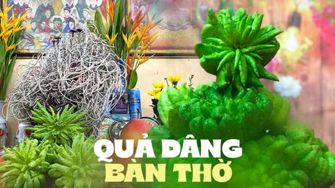 Lý do đặc biệt khiến nhiều người bày phật thủ trên bàn thờ ngày Tết
