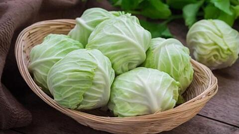 Giá thực phẩm ngày 28/6: Bắp cải trắng 16.000 đồng/kg