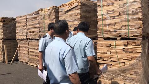 Hải quan TP.HCM phát hiện lô hàng trốn thuế trị giá hơn 11 tỷ đồng