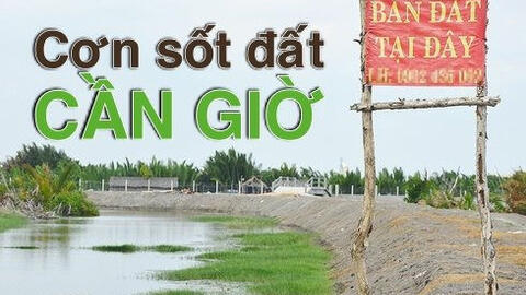 Tăng đến 300%, điều gì tạo nên 'cơn sốt đất' ở Cần Giờ?