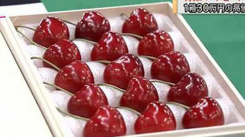 Cherry Nhật đạt mức giá khủng 64 triệu 15 quả