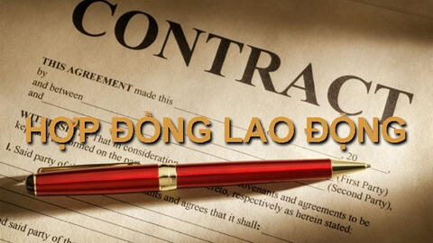 Các loại hợp đồng lao động chuẩn theo Bộ luật Lao động mới