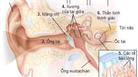 Nghiên cứu mới, người mắc COVID-19 có thể bị ảnh hưởng đến thính giác