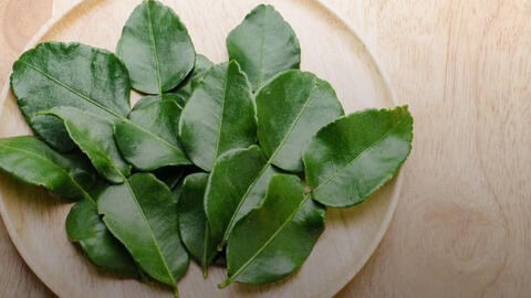 Lá chanh Việt Nam giá rẻ như cho, sang nước ngoài bán 6,35 triệu đồng/kg