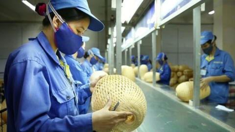 Thu nhập bình quân của lao động Việt Nam tăng 6,9%