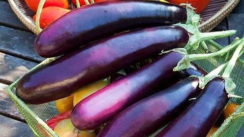 Giá thực phẩm ngày 27/6: Cà tím giá 13.000 đồng/kg