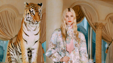 Gucci bị chỉ trích vì dùng hổ thật quay quảng cáo