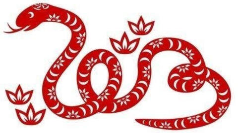 Hướng nào xuất hành tốt nhất năm 2021 cho tuổi Đinh Tỵ 1977?