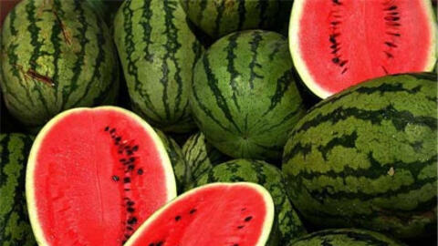 Dưa hấu giảm giá còn 8.000 đồng/kg