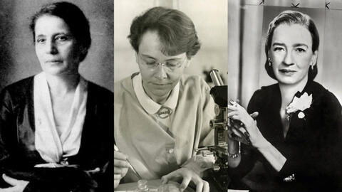 10 nhà nữ khoa học xuất sắc có những đóng góp lớn lao cho lịch sử nhân loại