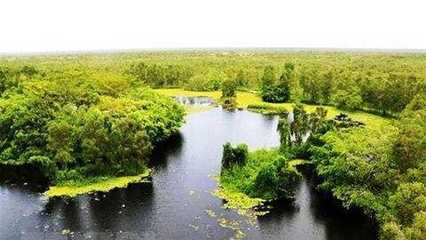 8 năm thực hiện Chiến lược 2020: Đa dạng sinh học vẫn giảm ở 3 cấp độ