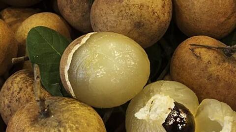 Đua nhau mua nhãn có cùi xếp lớp giá 240.000 đồng/kg