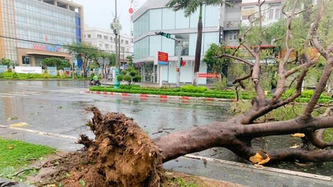 Bão số 9: Hai người chết, 5 người bị thương ở Quảng Ngãi